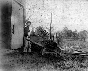 Wheelbarrow of Manure