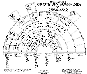 Genealogy Chart