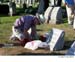 flower_planting