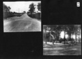 wagner_bliley_album_uncaptioned___page_14_front_p0_600.jpg