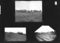 wagner_bliley_album_uncaptioned___page_19_front_p0_600.jpg