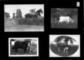 wagner_bliley_album_uncaptioned___page_9_rear_p0_600.jpg